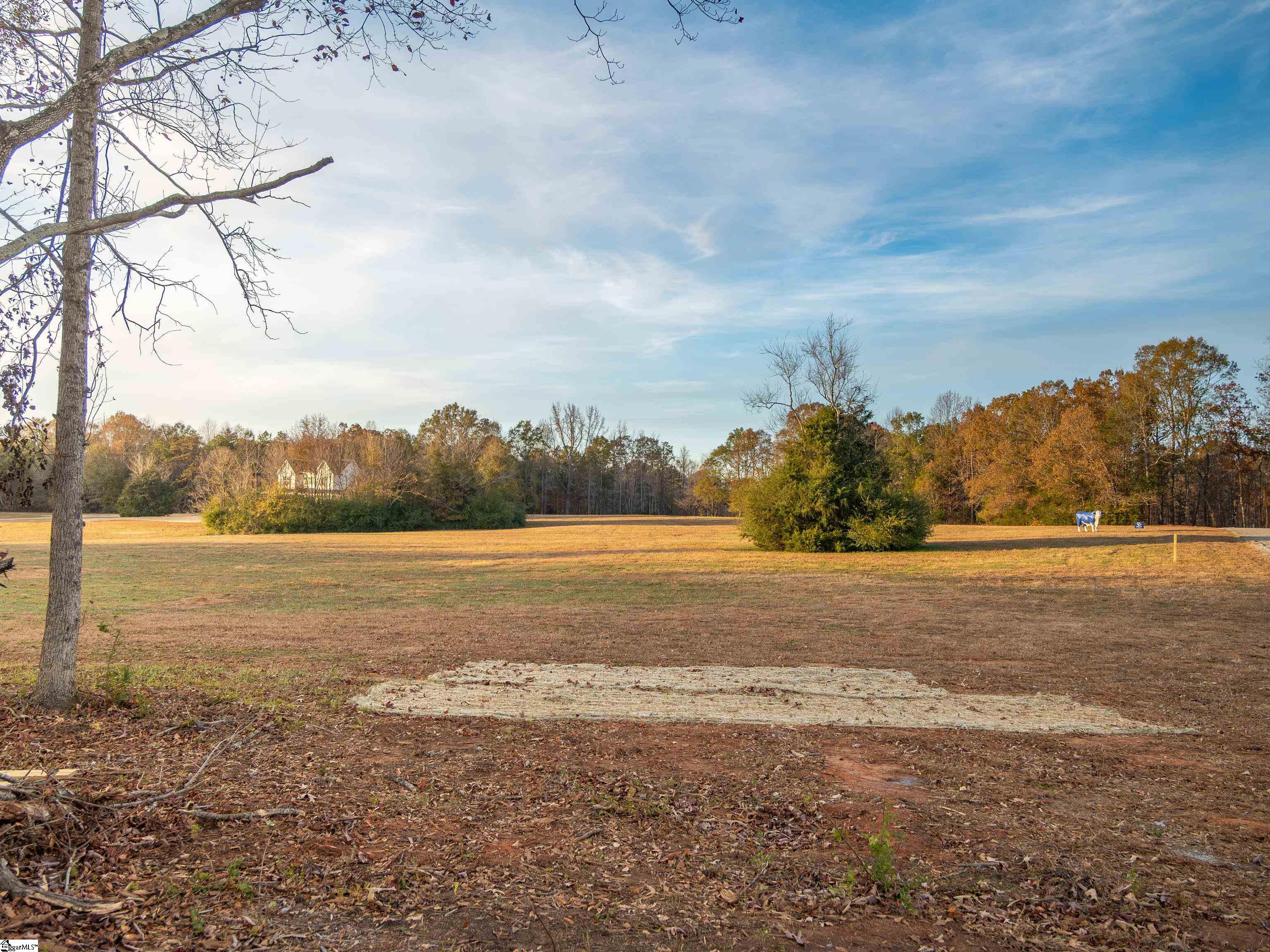249 West Chapman Road, Unit LOT 12 Belton, SC 29627 - Photo 22 of 24