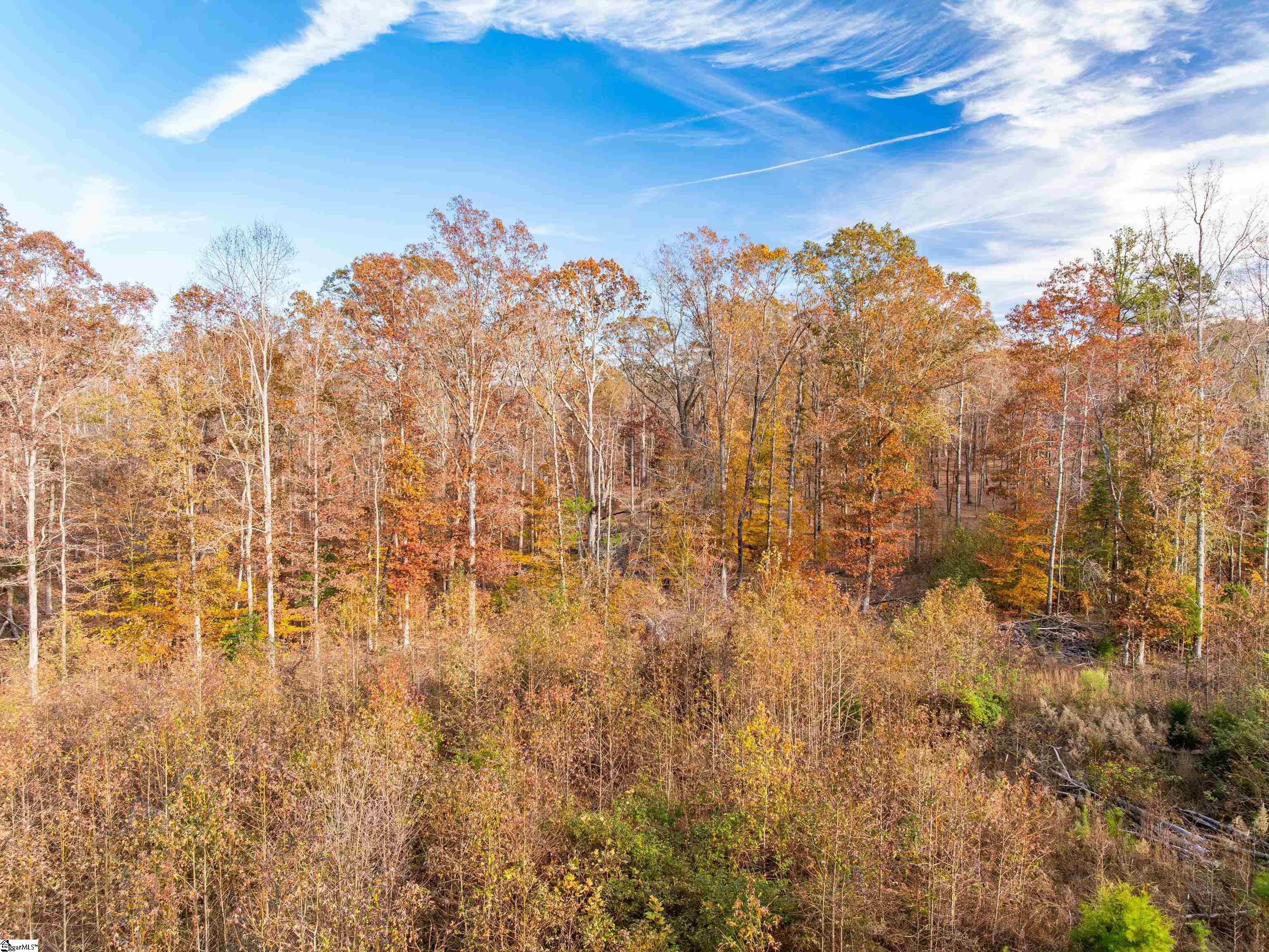 249 West Chapman Road, Unit LOT 12 Belton, SC 29627 - Photo 9 of 24