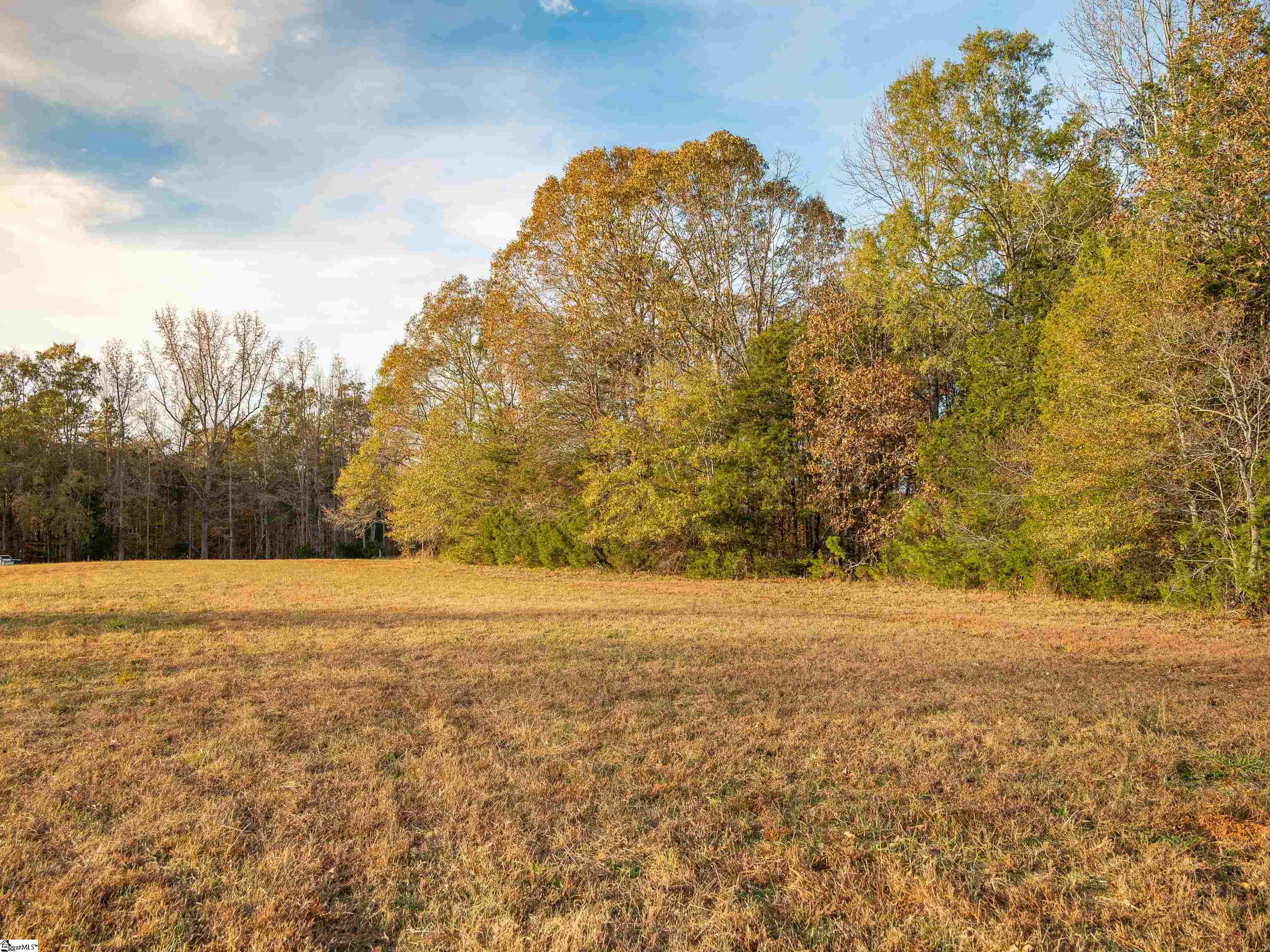 249 West Chapman Road, Unit LOT 12 Belton, SC 29627 - Photo 10 of 24