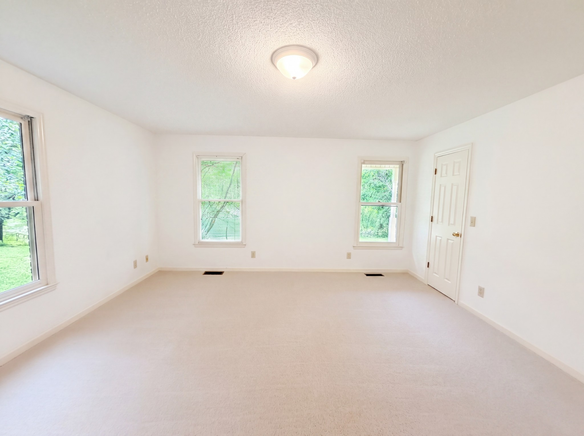 8663 Dog Branch Road Mount Pleasant, TN 38474 - Photo 9 of 19