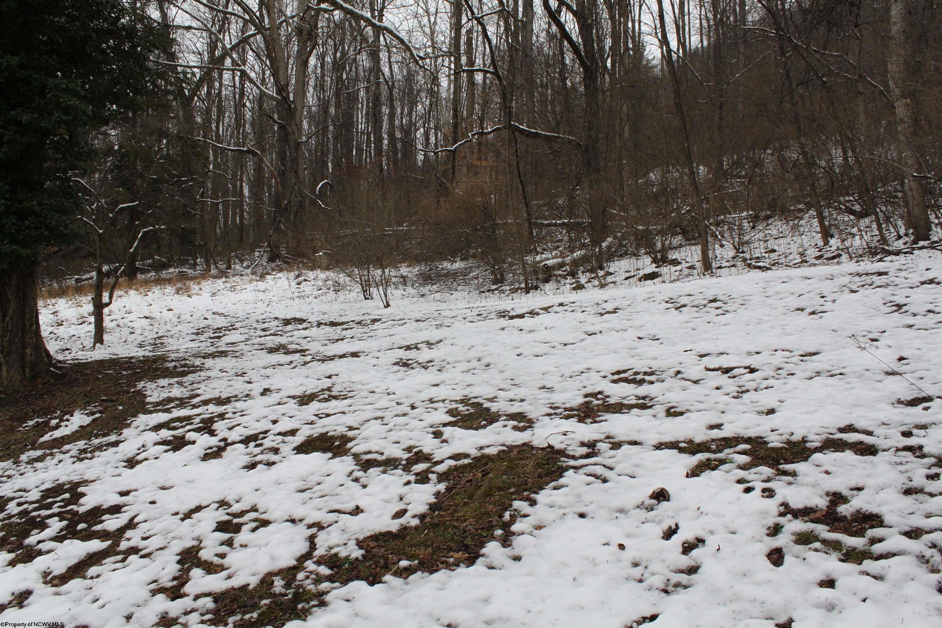 1349 Point Mountain Road Webster Springs, WV 26288 - Photo 20 of 31 Gallery Image 20