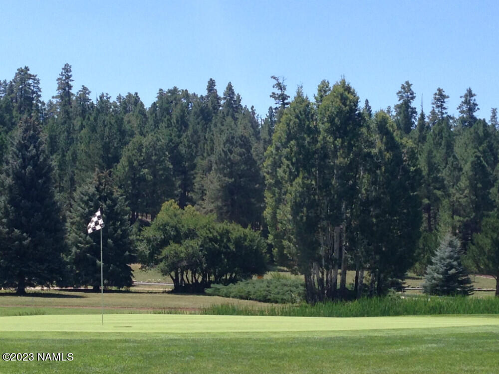 17550 South Munds Ranch Road, Unit 293 Munds Park, AZ 86017 - Photo 21 of 26 Golf green
