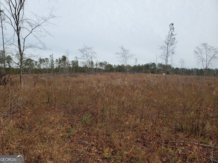 0 McGhee Road Sparta, GA 31087 - Photo 11 of 15 a view of lake with houses