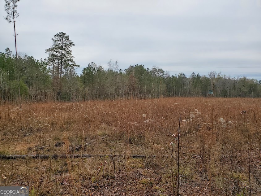 0 McGhee Road Sparta, GA 31087 - Photo 12 of 15 a view of a lake with trees in the background