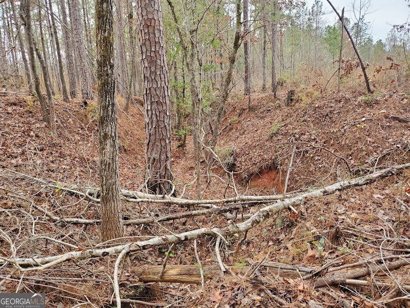 0 McGhee Road Sparta, GA 31087 - Photo 13 of 15 a view of outdoor space with wooden fence