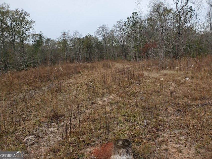 0 McGhee Road Sparta, GA 31087 - Photo 14 of 15 a view of a room with trees in the background