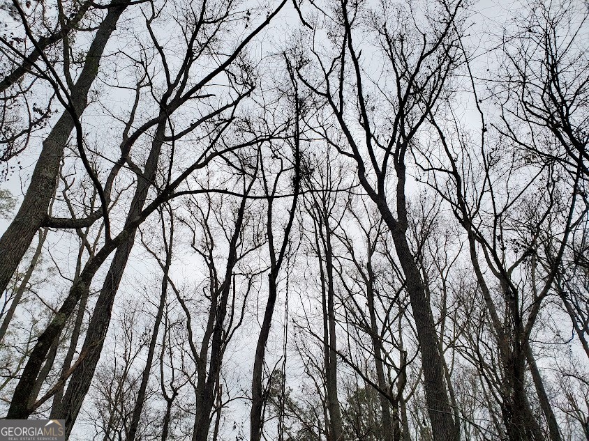 0 McGhee Road Sparta, GA 31087 - Photo 2 of 15 a backyard of a house with lots of trees
