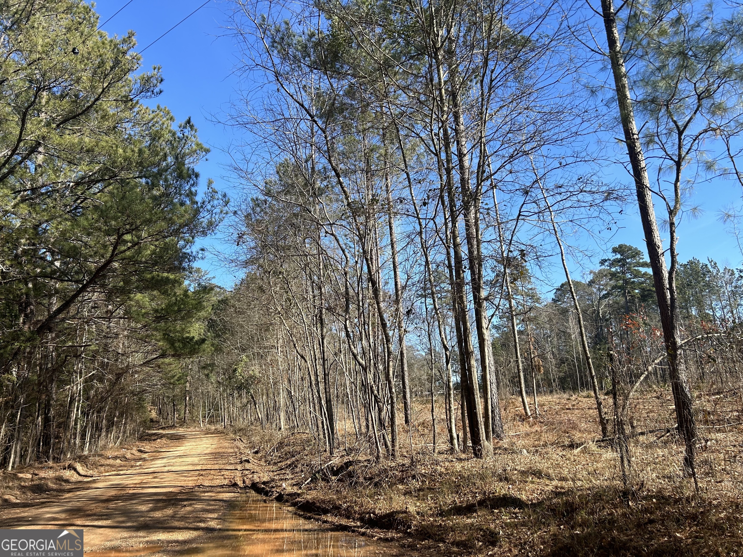0 McGhee Road Sparta, GA 31087 - Photo 4 of 15 a view of a yard with a fountain