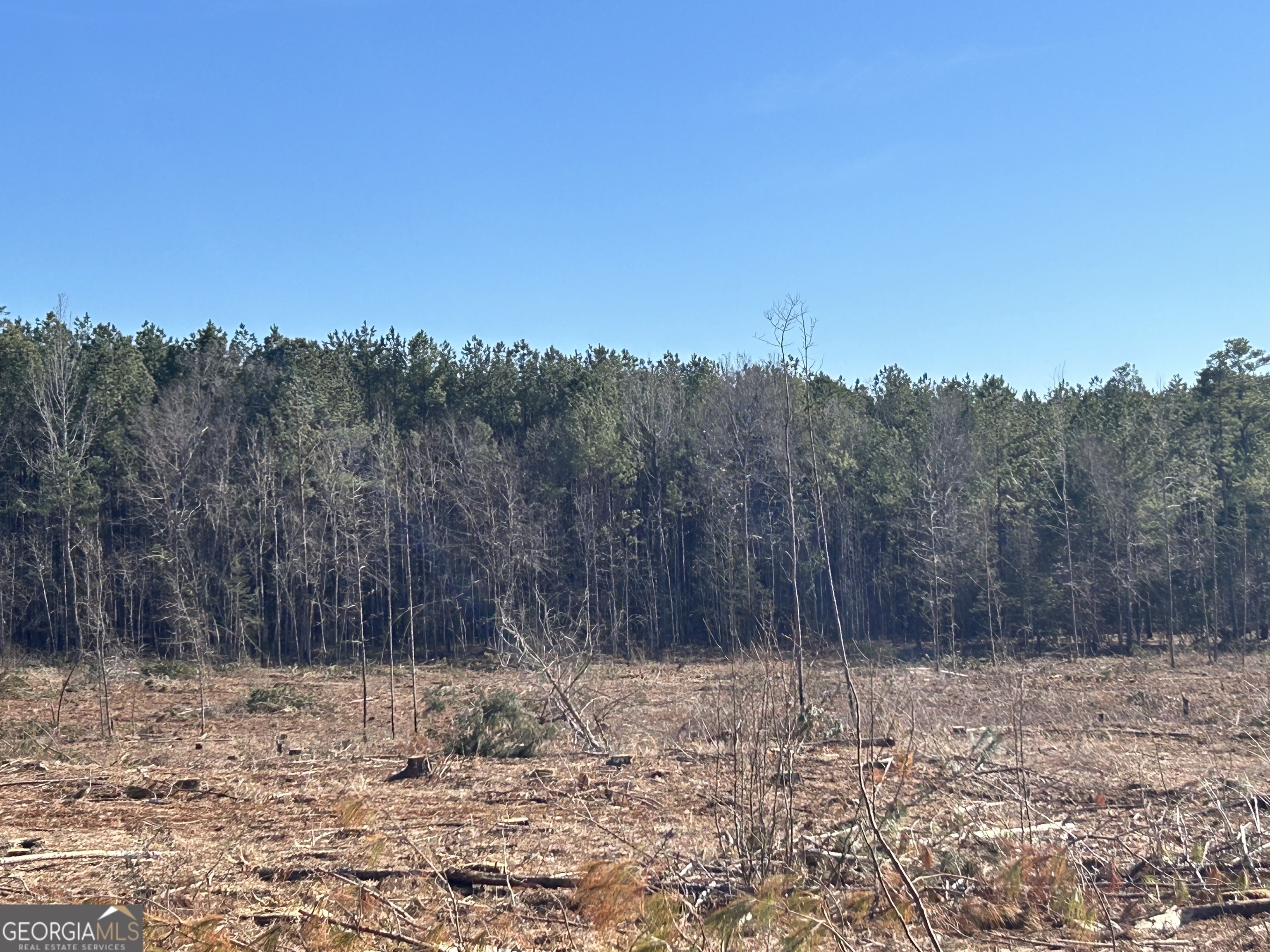 0 McGhee Road Sparta, GA 31087 - Photo 7 of 15 a view of a backyard with trees