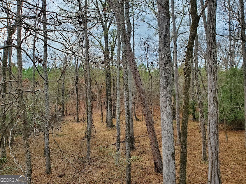 0 McGhee Road Sparta, GA 31087 - Photo 8 of 15 a view of outdoor space