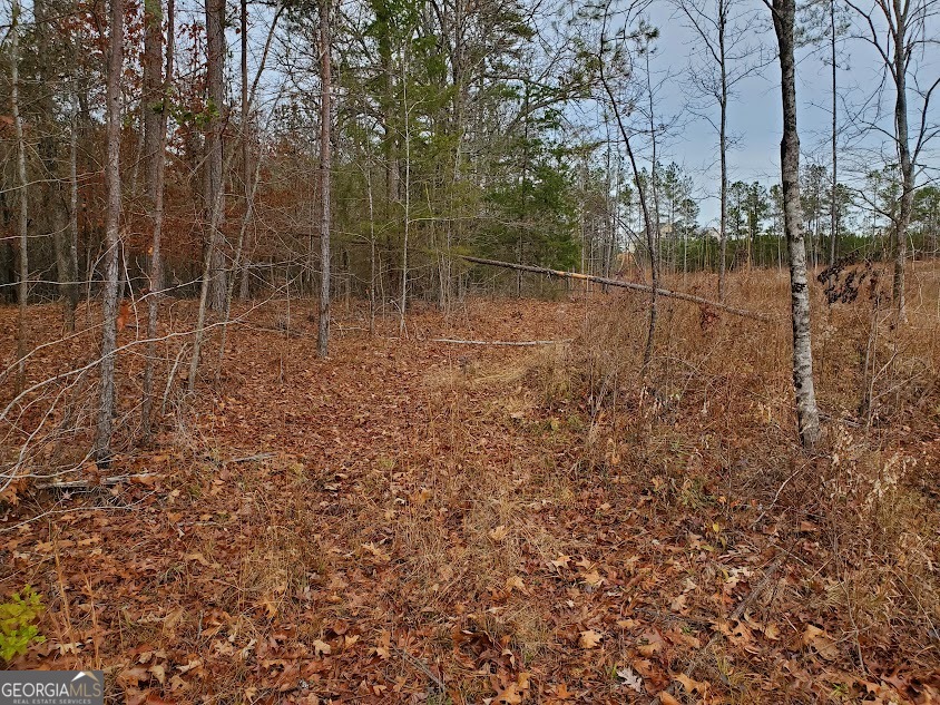 0 McGhee Road Sparta, GA 31087 - Photo 10 of 15 a backyard of a house with lots of green space