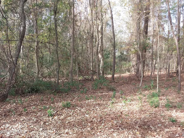 $299,000 | 670 Robert Smalls Parkway, Beaufort, SC 29906
