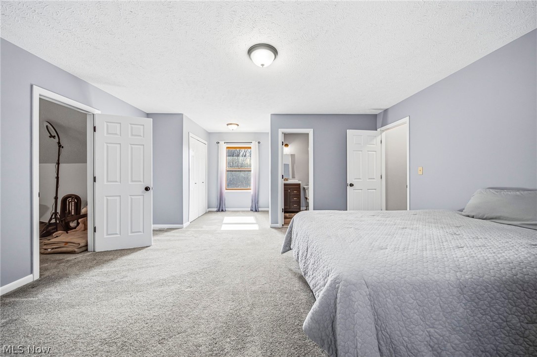 2850 South Ridge Road Perry, OH 44081 - Photo 18 of 41 Bedroom with a textured ceiling, ensuite bathroom, carpet floors, and a closet