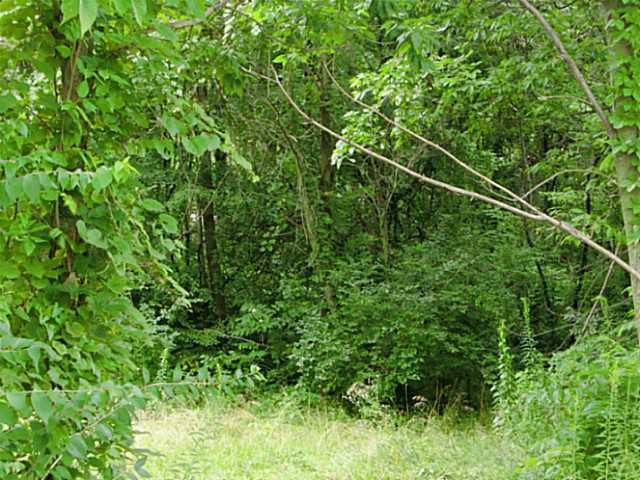 0 County Rd 24 Cardington, OH 43315 - Photo 2 of 7