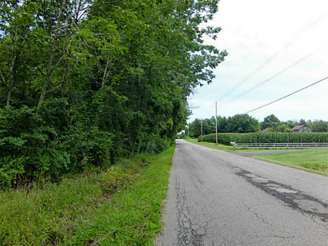 0 County Rd 24 Cardington, OH 43315 - Photo 5 of 7