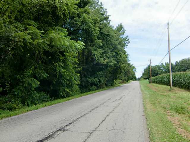 0 County Rd 24 Cardington, OH 43315 - Photo 6 of 7