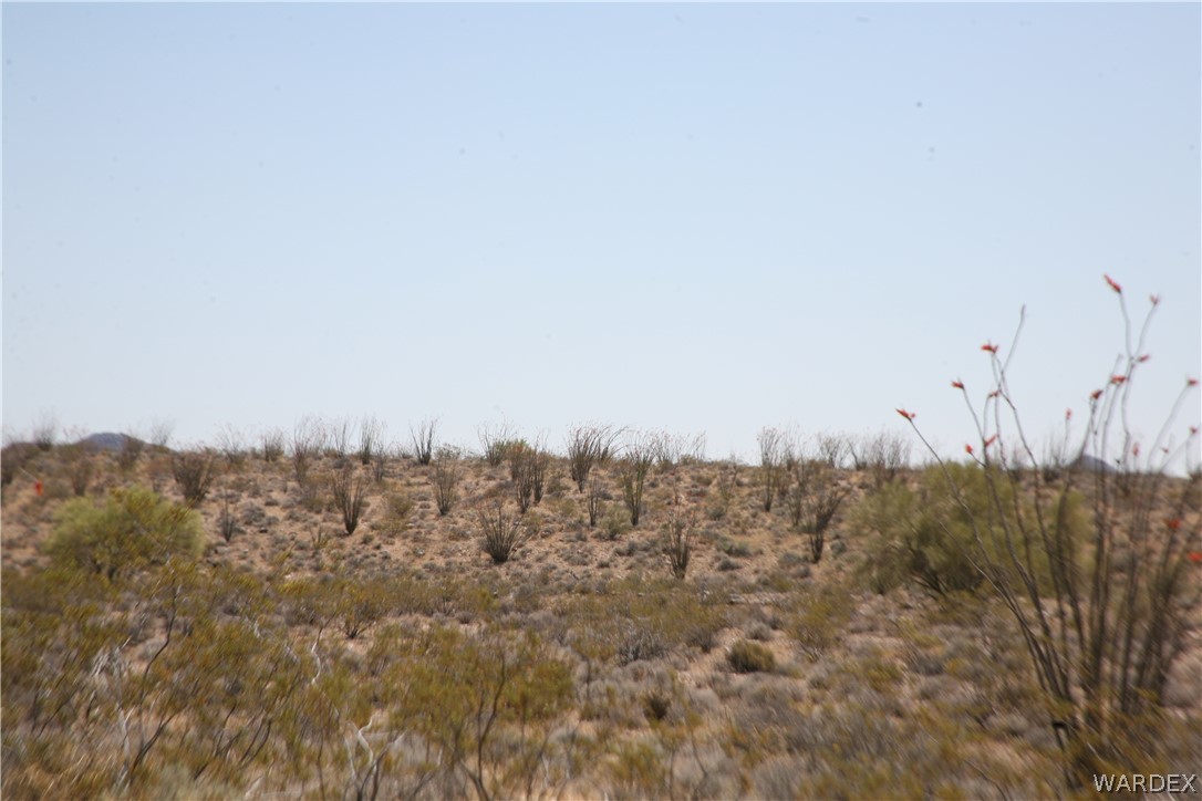 245-24-067a Lorton Road Yucca, AZ 86438 - Photo 13 of 42