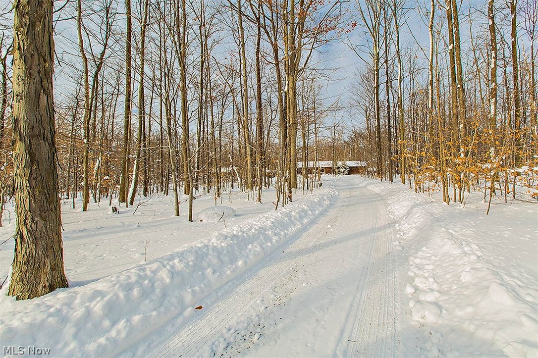 11575 Colburn Road Painesville, OH 44077 - Photo 4 of 23 Located on 6 wooded acres.