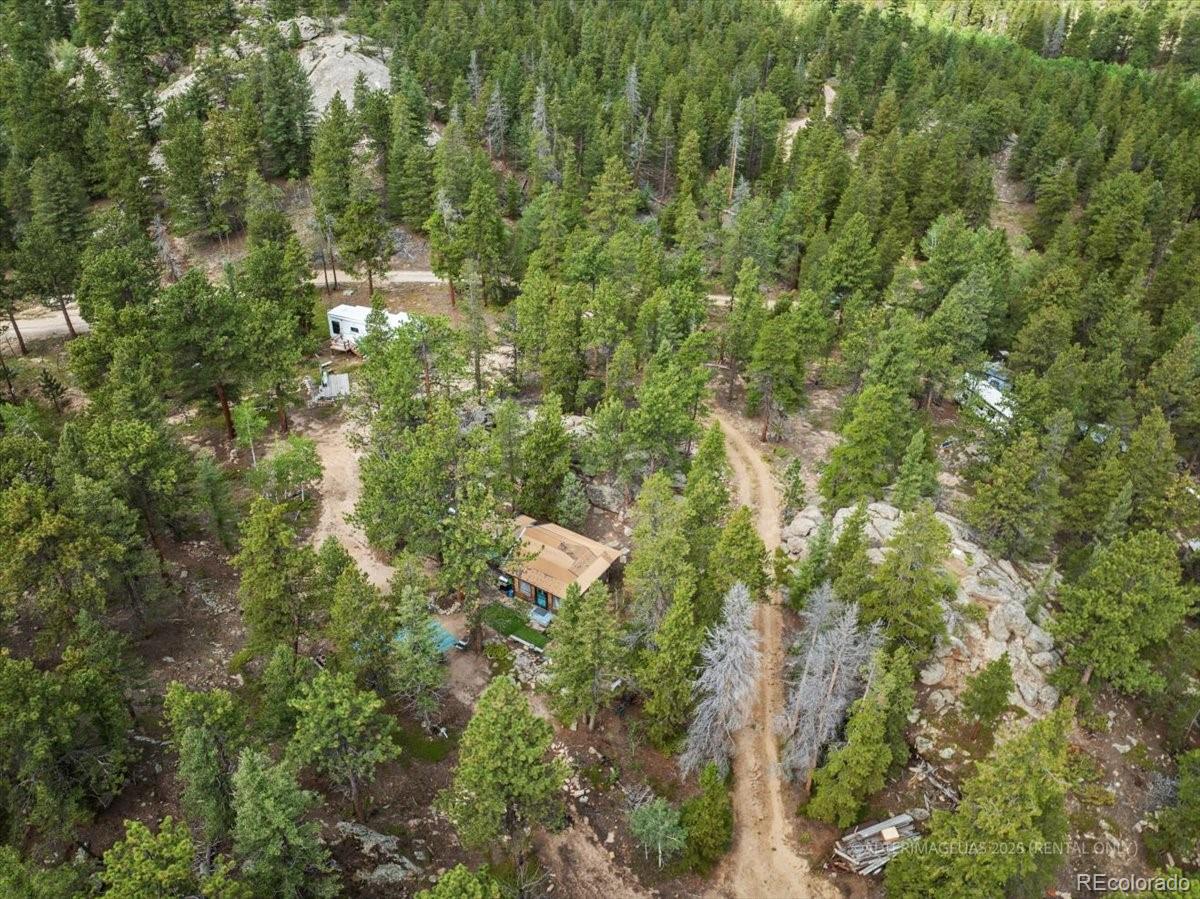 165 Sutherland Road Allenspark, CO 80510 - Photo 29 of 40 Gallery Image 29