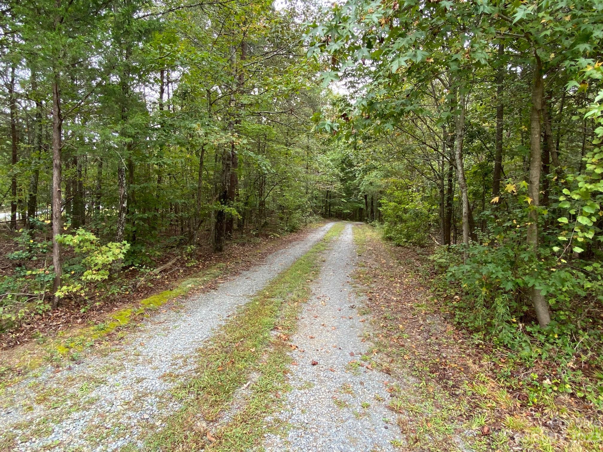 7561 Sisk-Carter Road Rockwell, NC 28138 - Photo 7 of 13 Gallery Image 7