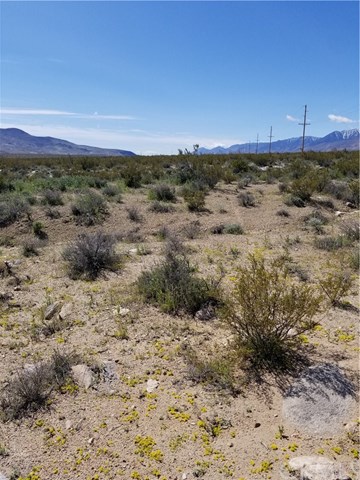 6696 Enchanted Lake Road Olancha, CA 93549 - Photo 2 of 14 Gallery Image 2