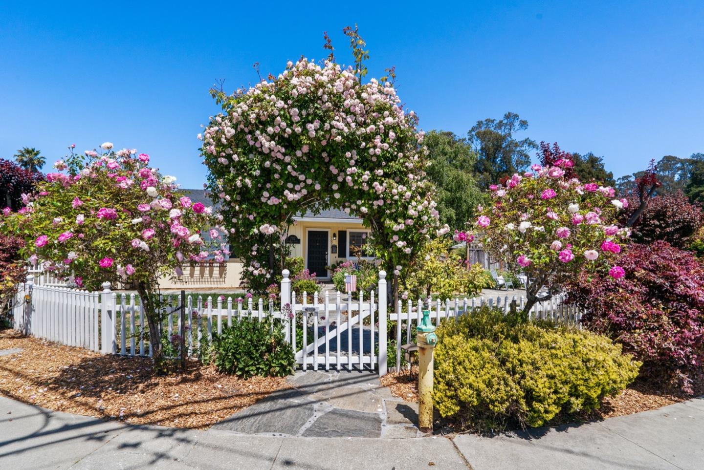 702 Rosedale Avenue Capitola, CA 95010 - Photo 3 of 42 Gallery Image 3