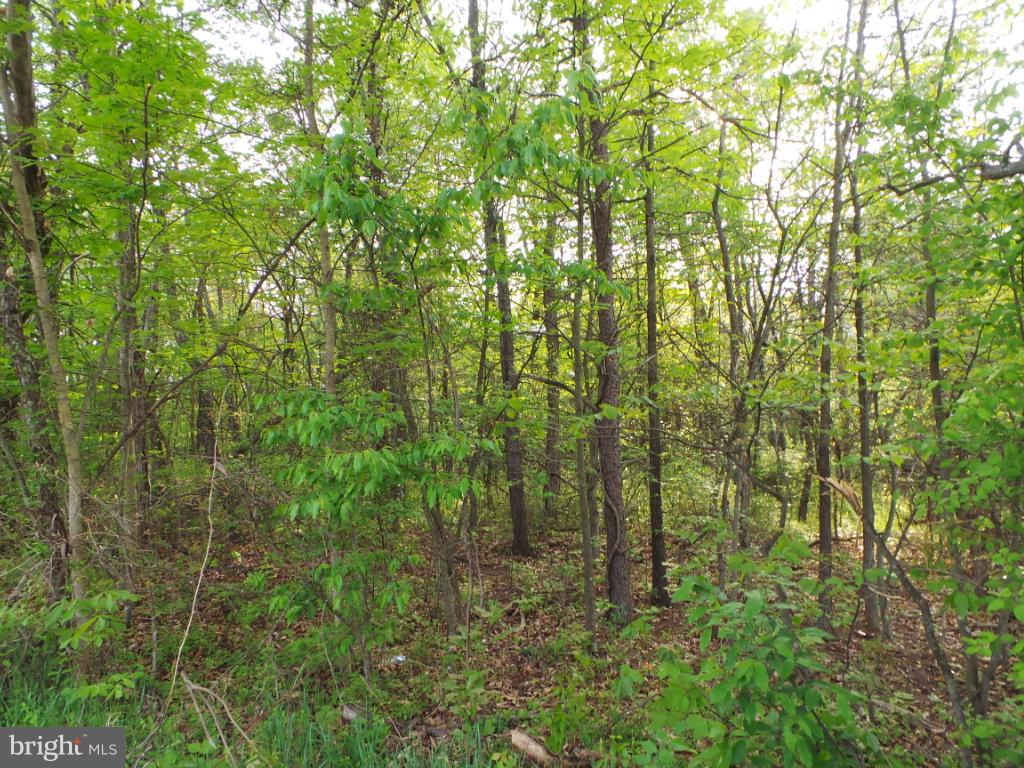16 Winchester Grade Road Berkeley Springs, WV 25411 - Photo 1 of 5 Wooded lot with very few reatrictions