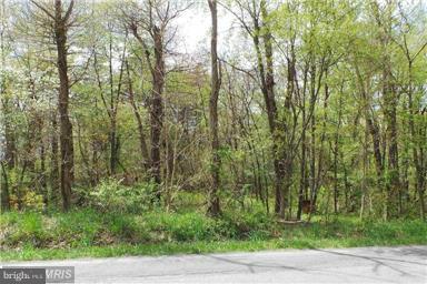 16 Winchester Grade Road Berkeley Springs, WV 25411 - Photo 2 of 5 Exterior (Front)
