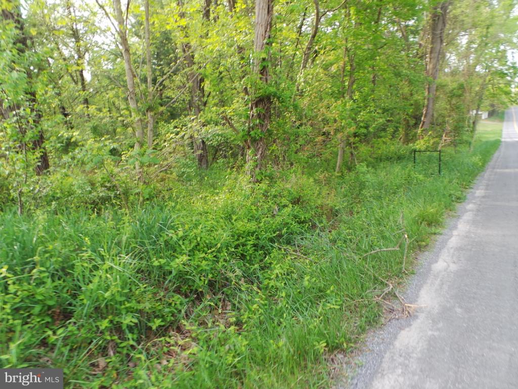 16 Winchester Grade Road Berkeley Springs, WV 25411 - Photo 3 of 5 Along a state maintained road for easy access.