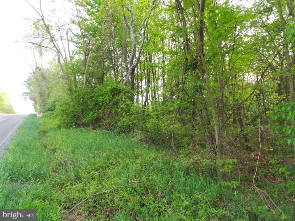 16 Winchester Grade Road Berkeley Springs, WV 25411 - Photo 4 of 5 Nice lot