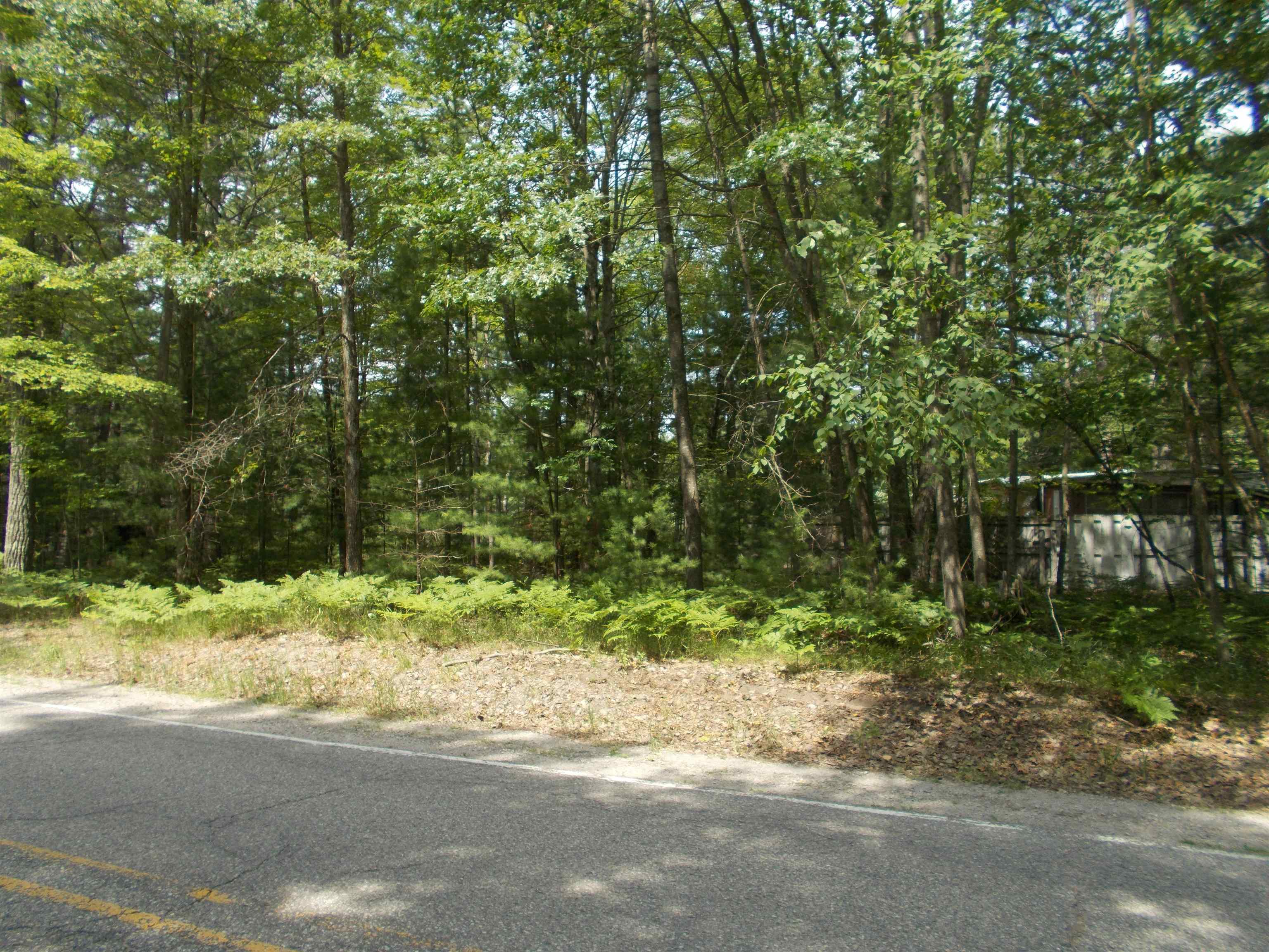 8070 Kokosing Road Hale, MI 48739 - Photo 3 of 5