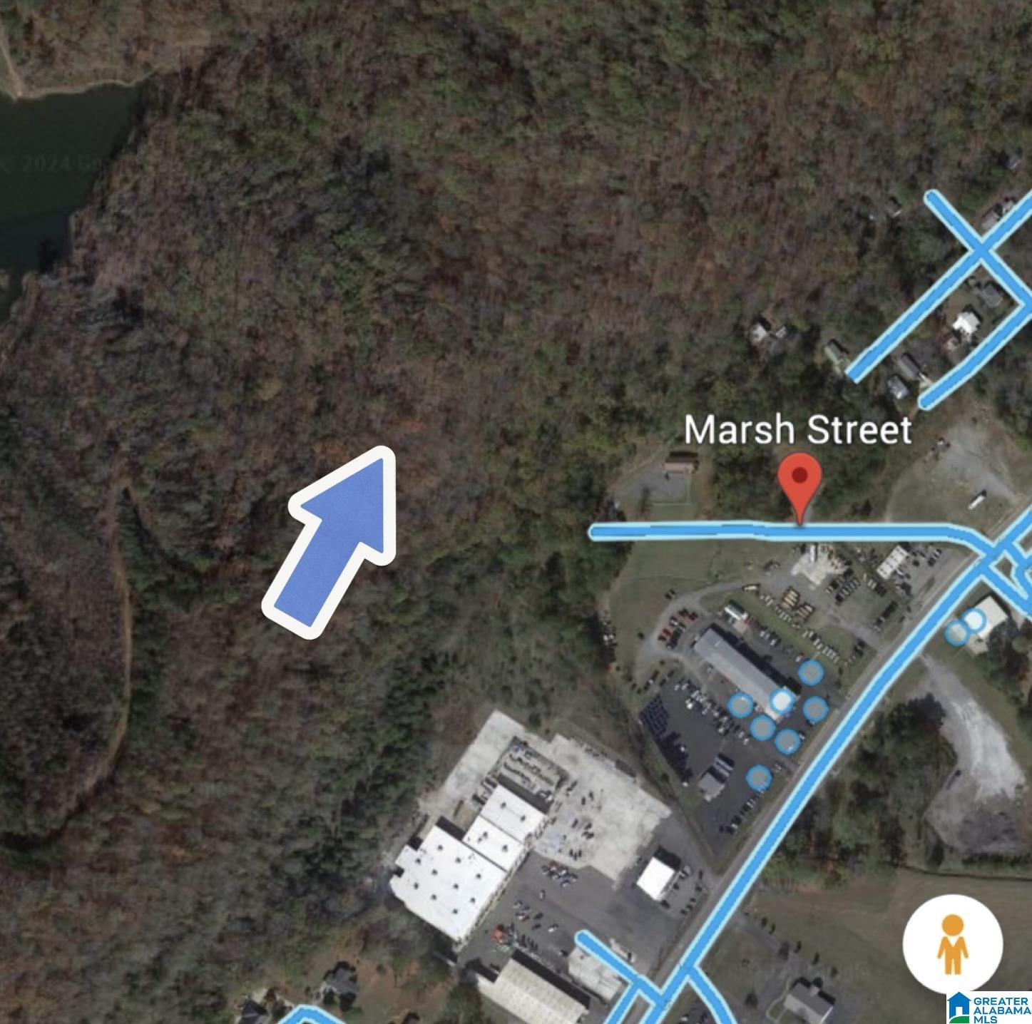 0 Marsh Street, Unit 1 Oneonta, AL 35121 - Photo 9 of 17