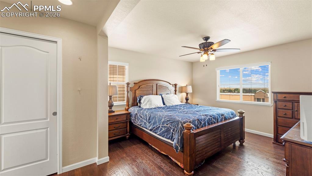 4635 Vireos View Colorado Springs, CO 80922 - Photo 25 of 44