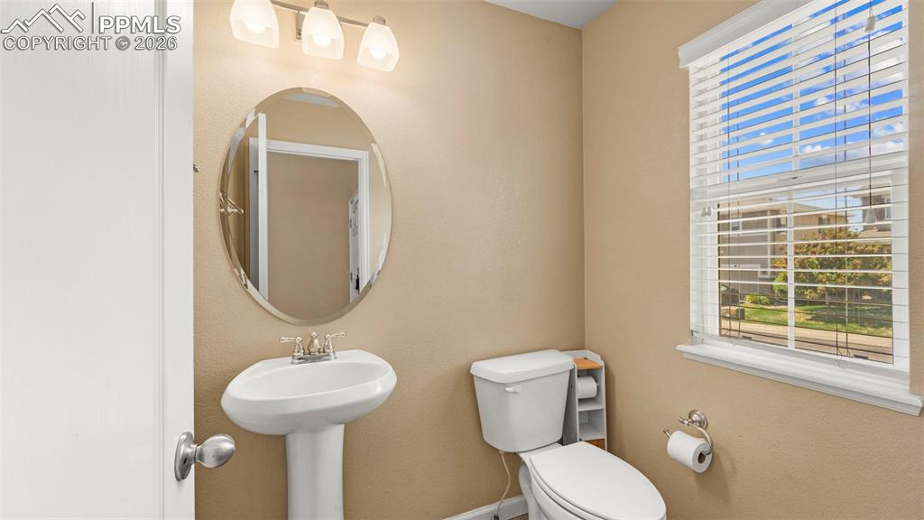 4635 Vireos View Colorado Springs, CO 80922 - Photo 5 of 44