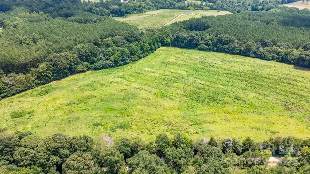a view of a yard with plants