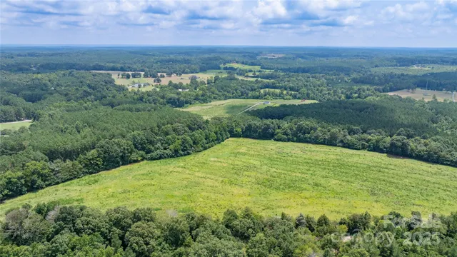 a view of a big yard with large trees