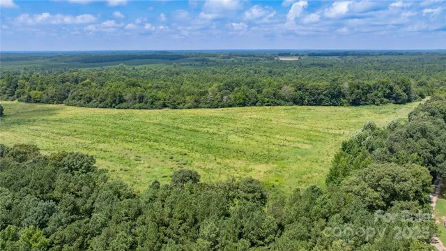 a view of a lush green outdoor space with a lake view