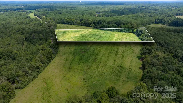 a view of a lush green forest with a lake