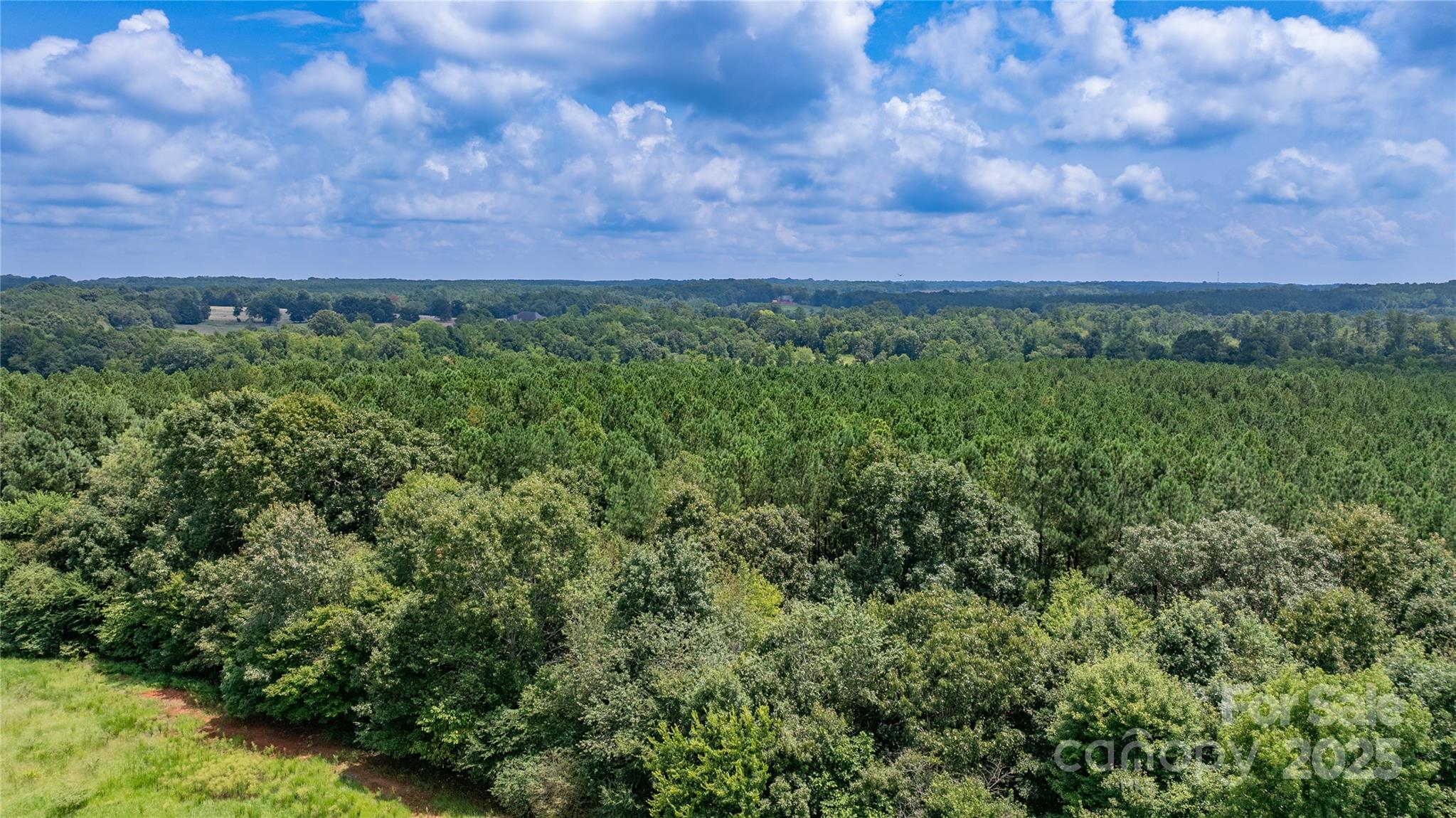 0 Daystar Road, Unit 19 Lancaster, SC 29720 - Photo 10 of 10 a view of a bunch of trees and bushes
