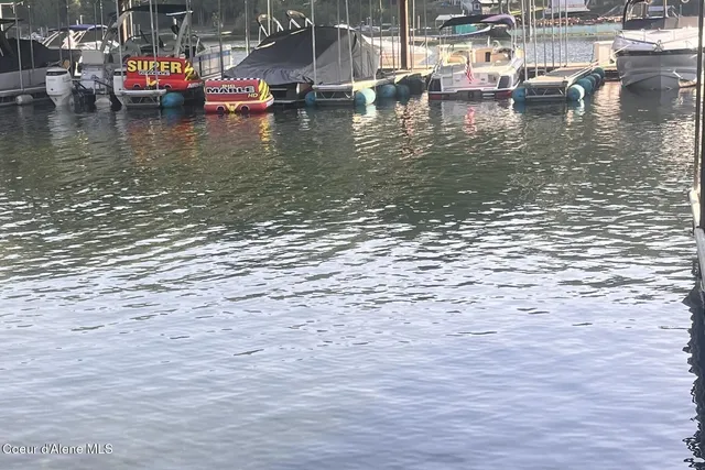 $6,500,000 | 20890 South Inspiration Trail, Harrison, ID 83833