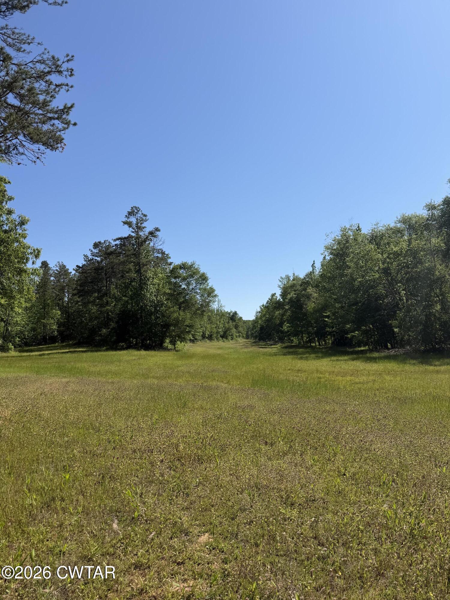 0 Authur Byrd Road Pocahontas, TN 38061 - Photo 3 of 14 a view of beach and an ocean