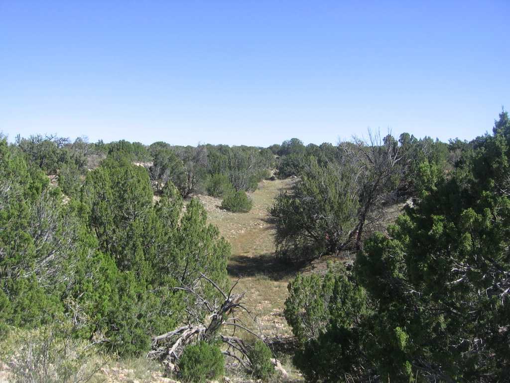 Chevelon Chevelon Acres Heber, AZ 85928 - Photo 1 of 12
