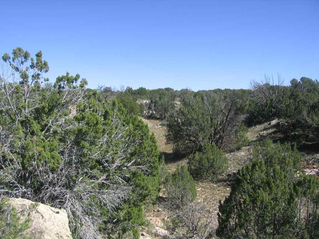 Chevelon Chevelon Acres Heber, AZ 85928 - Photo 2 of 12