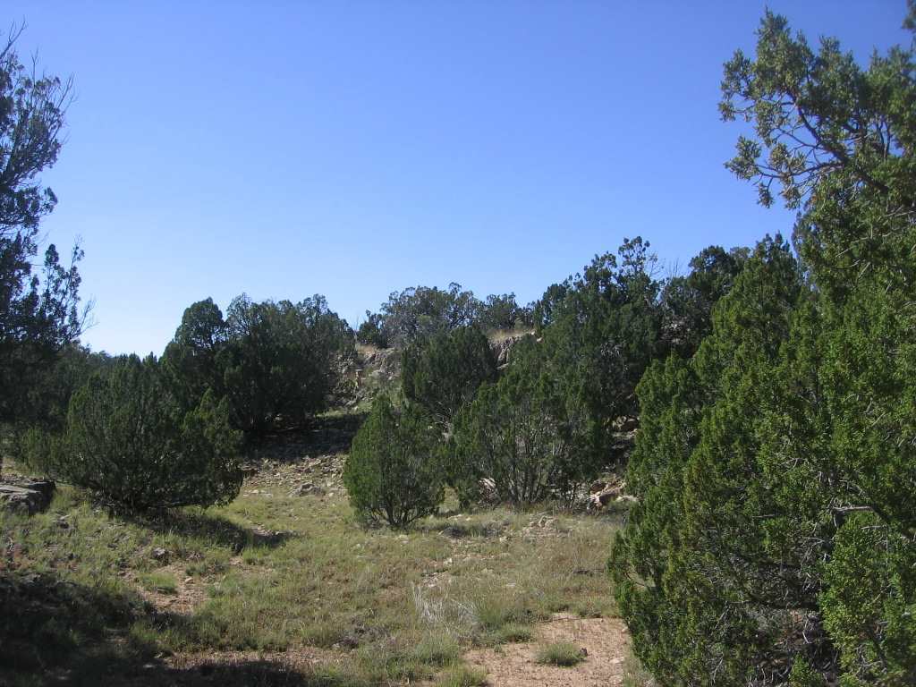 Chevelon Chevelon Acres Heber, AZ 85928 - Photo 4 of 12