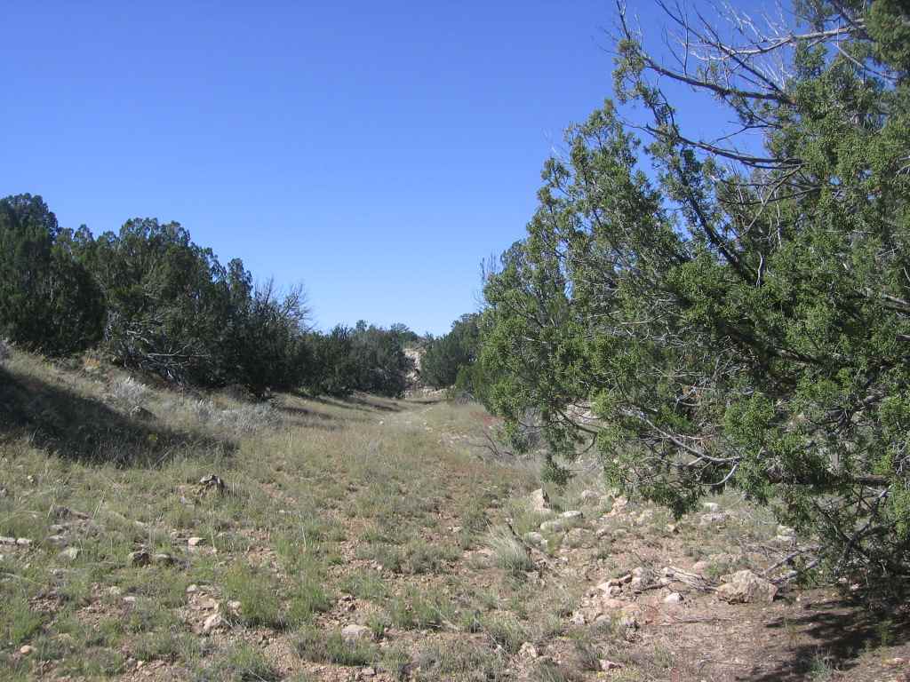 Chevelon Chevelon Acres Heber, AZ 85928 - Photo 5 of 12