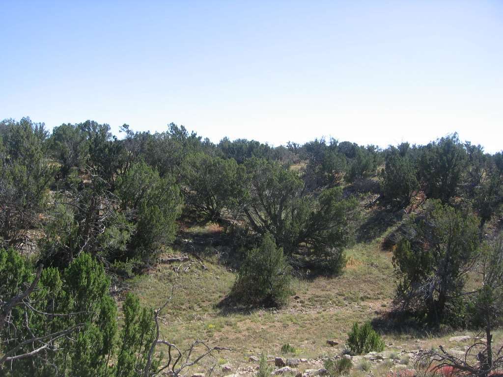 Chevelon Chevelon Acres Heber, AZ 85928 - Photo 7 of 12