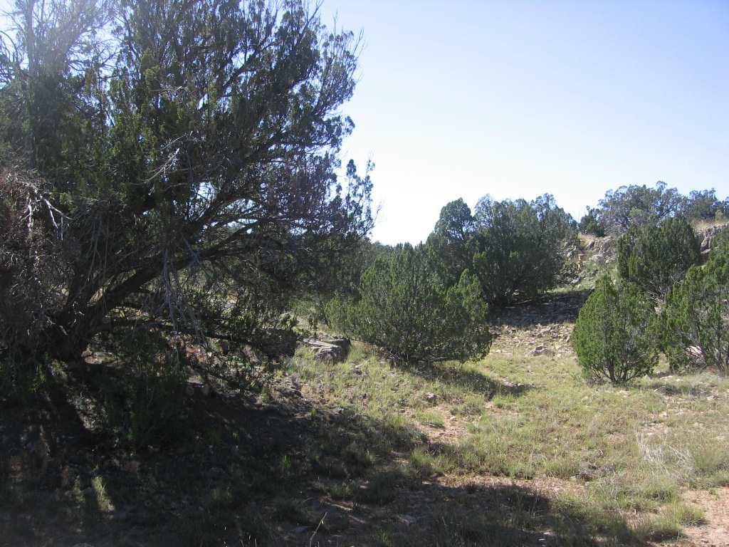 Chevelon Chevelon Acres Heber, AZ 85928 - Photo 8 of 12