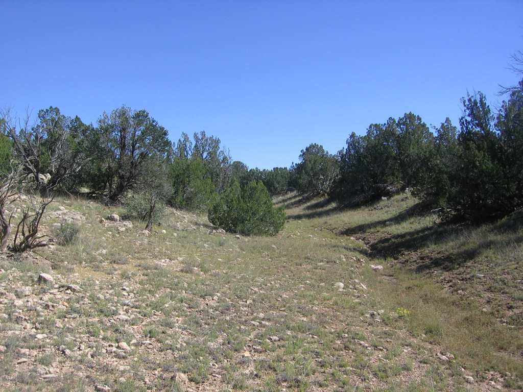 Chevelon Chevelon Acres Heber, AZ 85928 - Photo 9 of 12