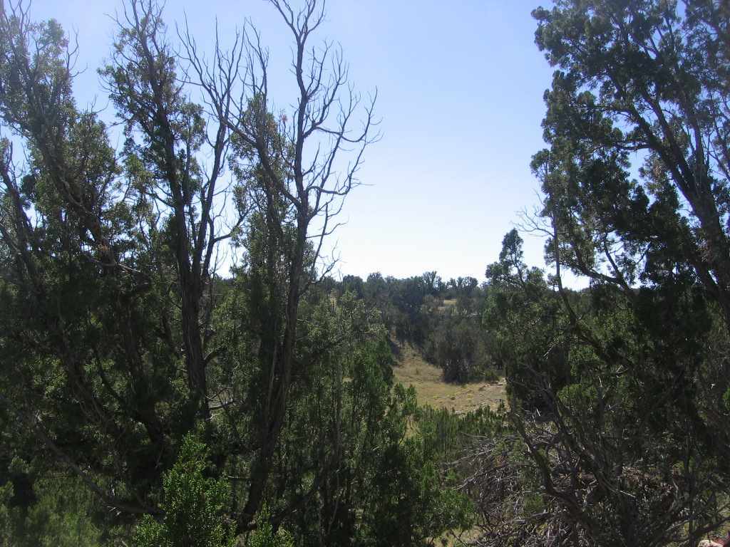 Chevelon Chevelon Acres Heber, AZ 85928 - Photo 10 of 12