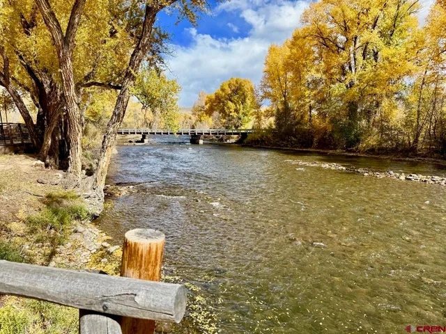 a view of a yard with plants and trees